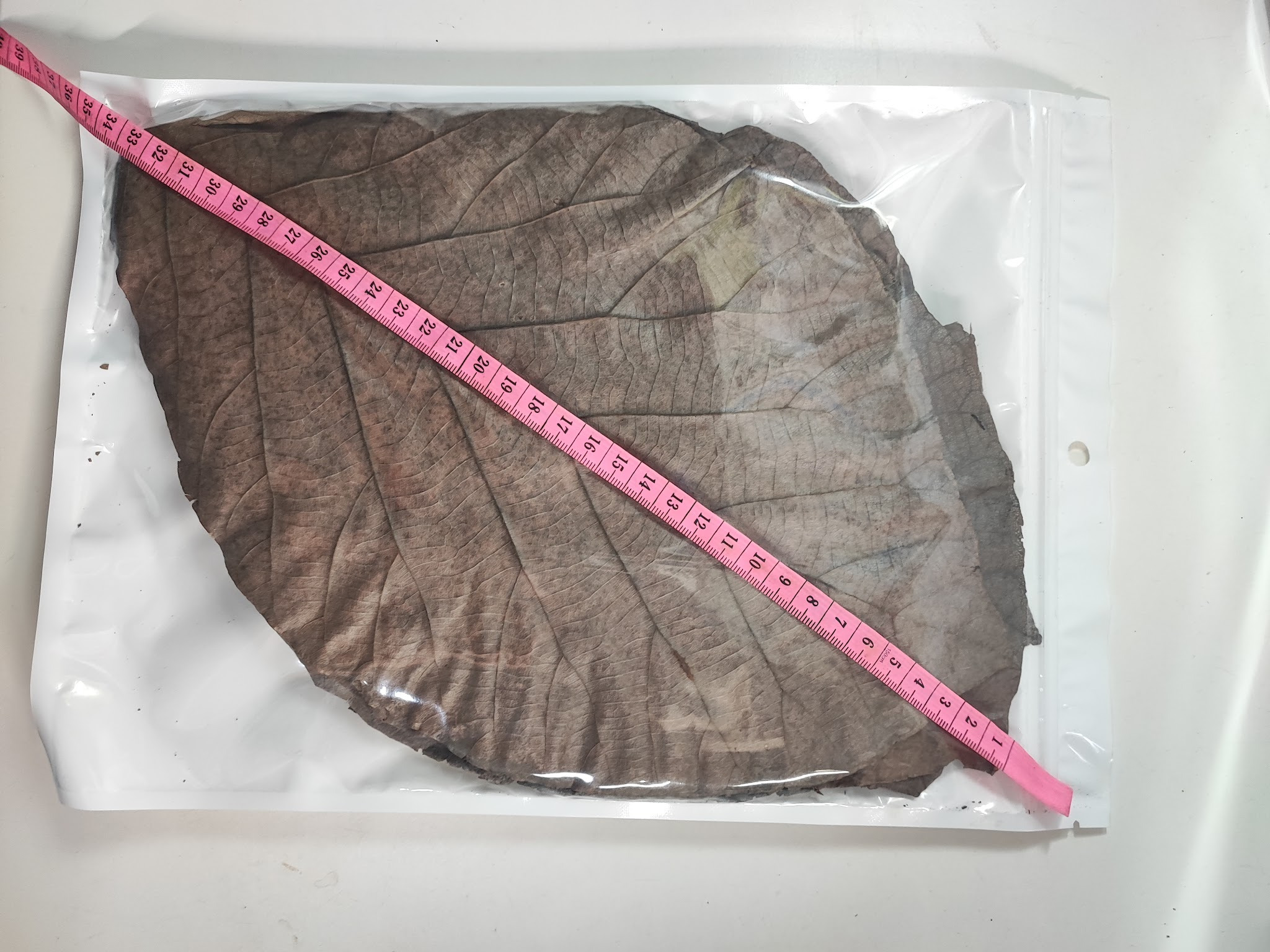 Medium dried teak leaves retail pack